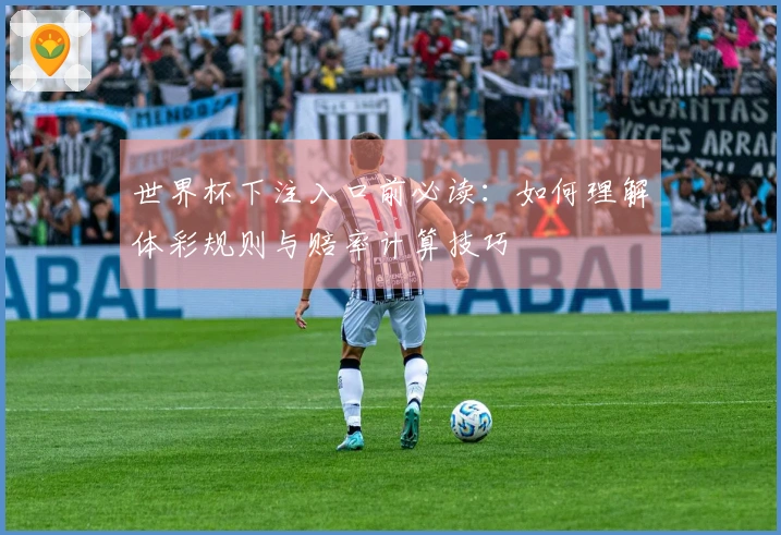 世界杯下注入口前必读：如何理解体彩规则与赔率计算技巧