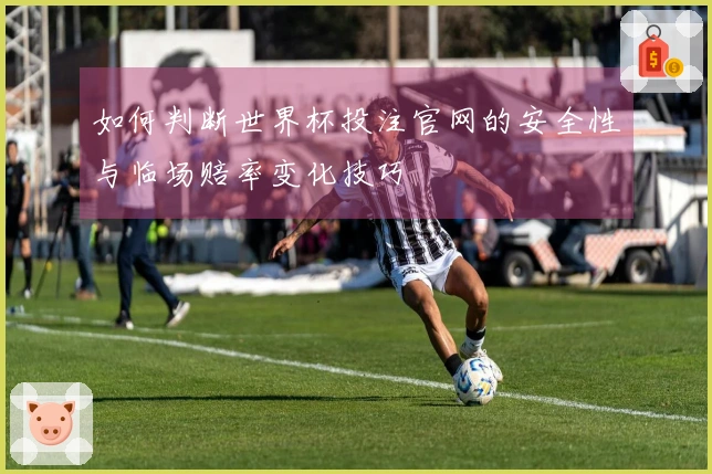 如何判断世界杯投注官网的安全性与临场赔率变化技巧