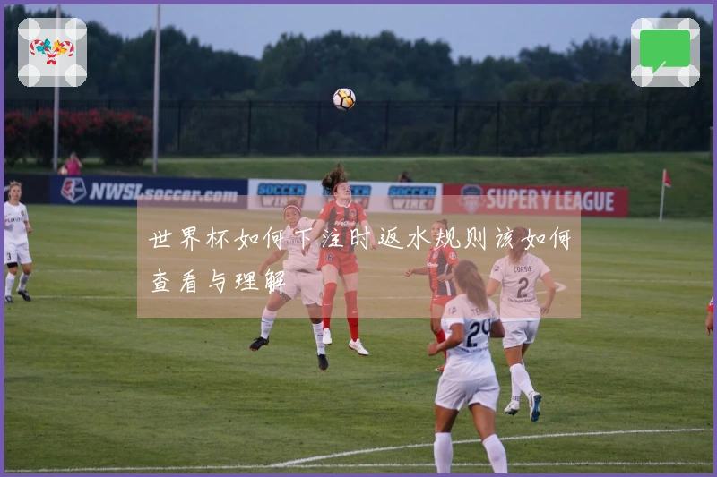 世界杯如何下注时返水规则该如何查看与理解
