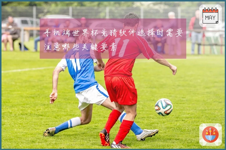 手机端世界杯竞猜软件选择时需要注意哪些关键要素