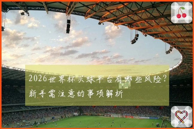 2026世界杯买球平台有哪些风险？新手需注意的事项解析