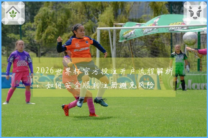 2026世界杯官方投注开户流程解析，如何安全顺利注册避免风险