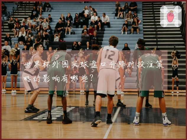 世界杯外围买球盘口升降对投注策略的影响有哪些？