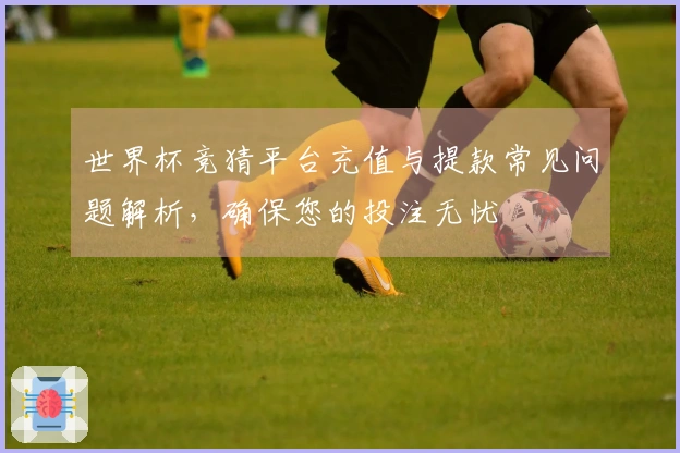 世界杯竞猜平台充值与提款常见问题解析，确保您的投注无忧
