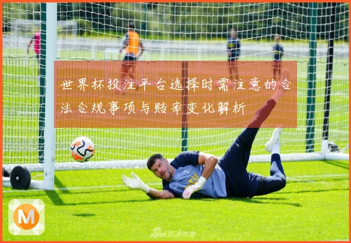 世界杯投注平台选择时需注意的合法合规事项与赔率变化解析