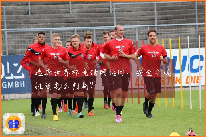 选择世界杯竞猜网站时，安全合规性该怎么判断？