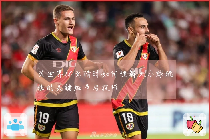 买世界杯竞猜时如何理解大小球玩法的关键细节与技巧