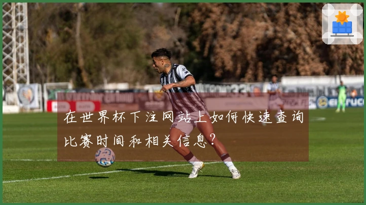 在世界杯下注网站上如何快速查询比赛时间和相关信息？