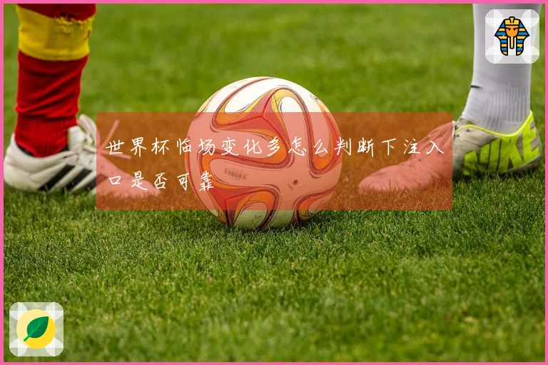 世界杯临场变化多怎么判断下注入口是否可靠