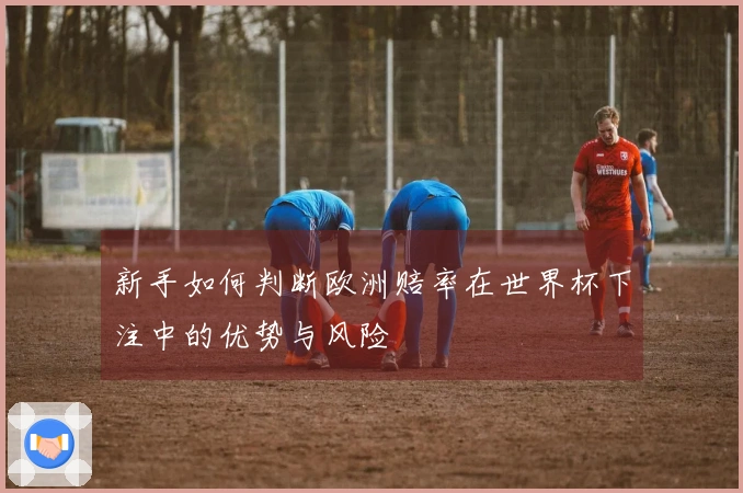 新手如何判断欧洲赔率在世界杯下注中的优势与风险