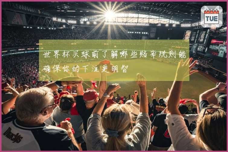 世界杯买球前了解哪些赔率规则能确保你的下注更明智