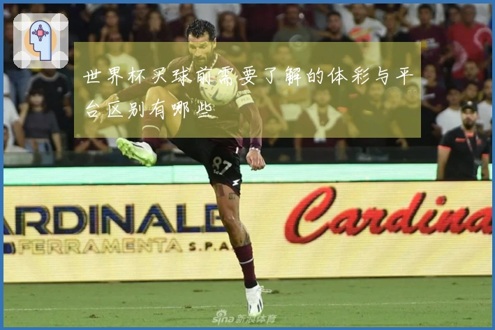 世界杯买球前需要了解的体彩与平台区别有哪些