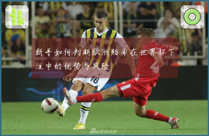 新手如何判断欧洲赔率在世界杯下注中的优势与风险