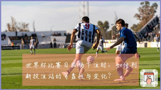 世界杯比赛日临场下注时，如何判断投注站的可靠性与变化？