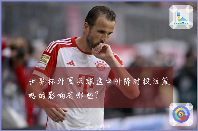 世界杯外围买球盘口升降对投注策略的影响有哪些？