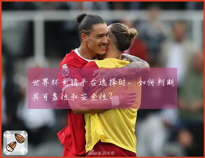 世界杯竞猜平台选择时，如何判断其可靠性和安全性？