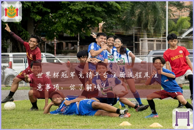世界杯冠军竞猜平台注册流程及注意事项，你了解吗？