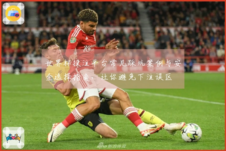 世界杯投注平台常见踩坑案例与安全选择指南，让你避免下注误区