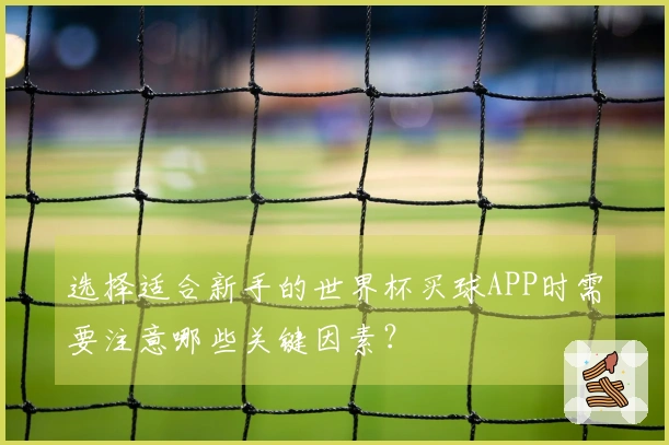 选择适合新手的世界杯买球APP时需要注意哪些关键因素？