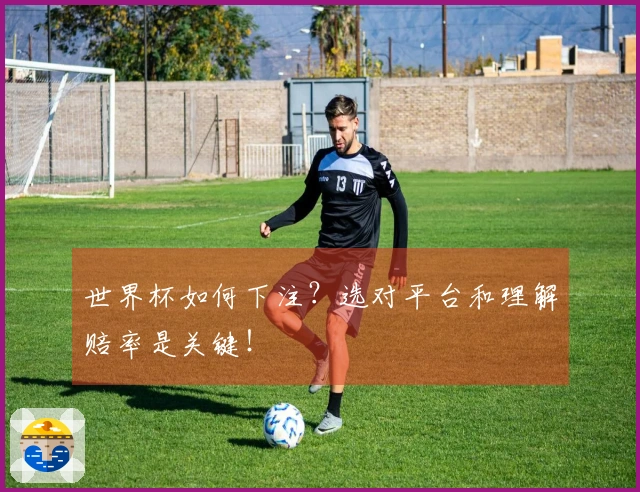 世界杯如何下注？选对平台和理解赔率是关键！