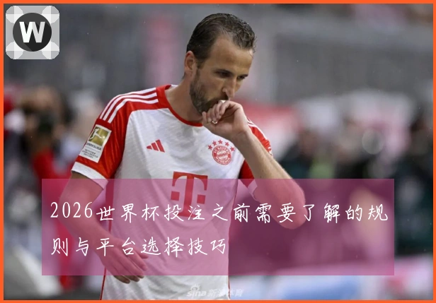 2026世界杯投注之前需要了解的规则与平台选择技巧