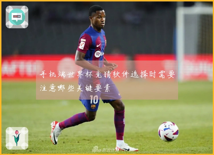 手机端世界杯竞猜软件选择时需要注意哪些关键要素