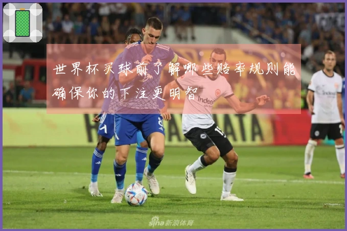 世界杯买球前了解哪些赔率规则能确保你的下注更明智