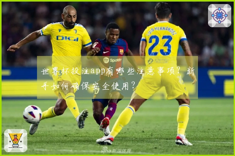 世界杯投注app有哪些注意事项？新手如何确保安全使用？