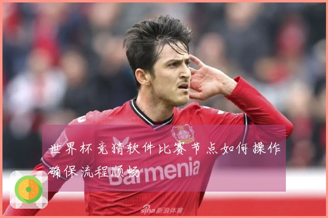 世界杯竞猜软件比赛节点如何操作确保流程顺畅
