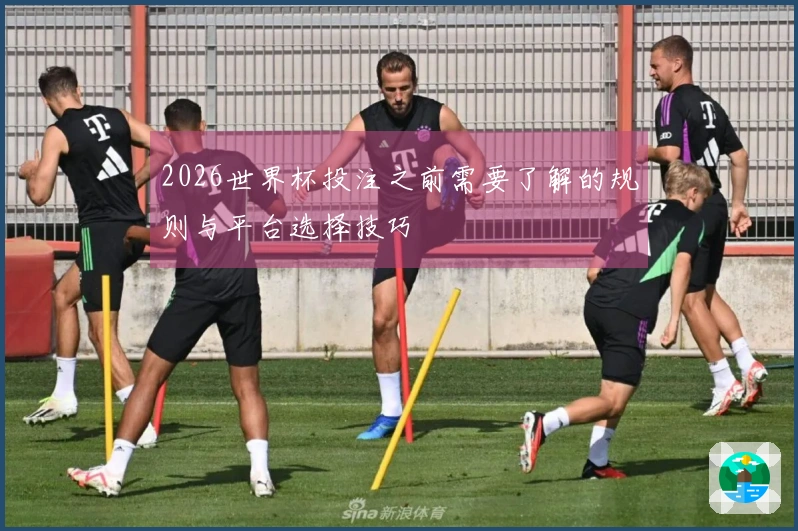 2026世界杯投注之前需要了解的规则与平台选择技巧
