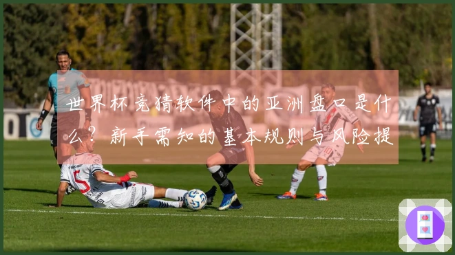 世界杯竞猜软件中的亚洲盘口是什么？新手需知的基本规则与风险提示