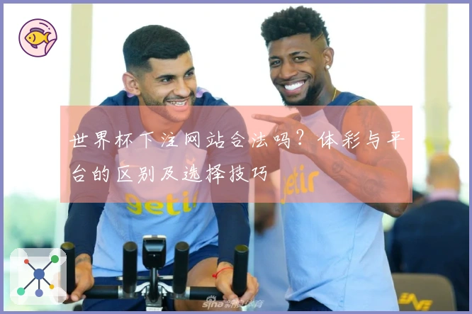 世界杯下注网站合法吗？体彩与平台的区别及选择技巧