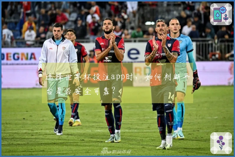 选择世界杯投注app时，如何判断平台是否安全可靠？