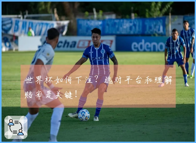世界杯如何下注？选对平台和理解赔率是关键！