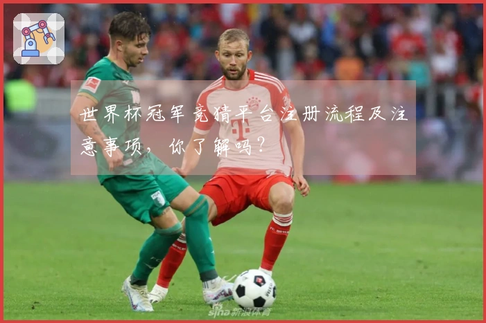 世界杯冠军竞猜平台注册流程及注意事项，你了解吗？
