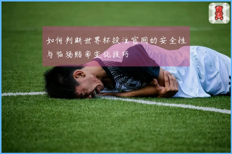 如何判断世界杯投注官网的安全性与临场赔率变化技巧