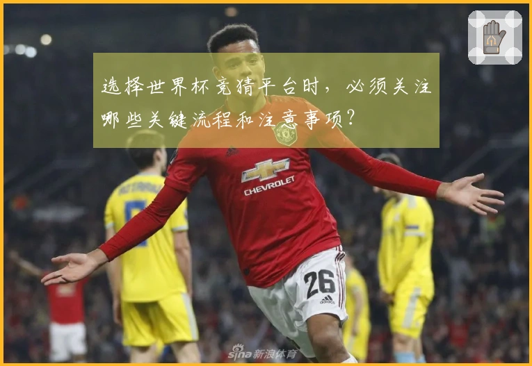 选择世界杯竞猜平台时，必须关注哪些关键流程和注意事项？