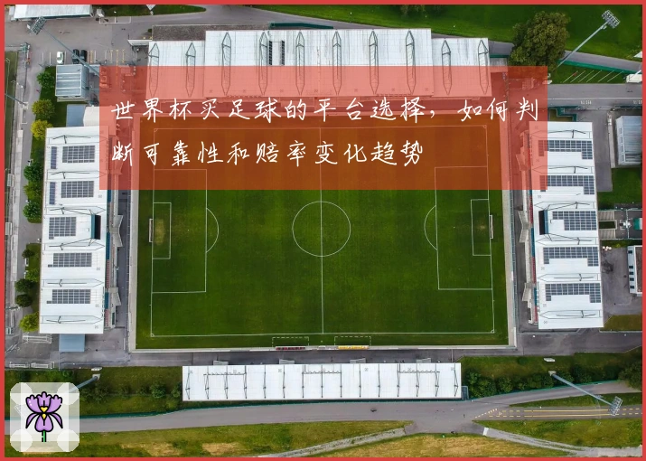 世界杯买足球的平台选择，如何判断可靠性和赔率变化趋势