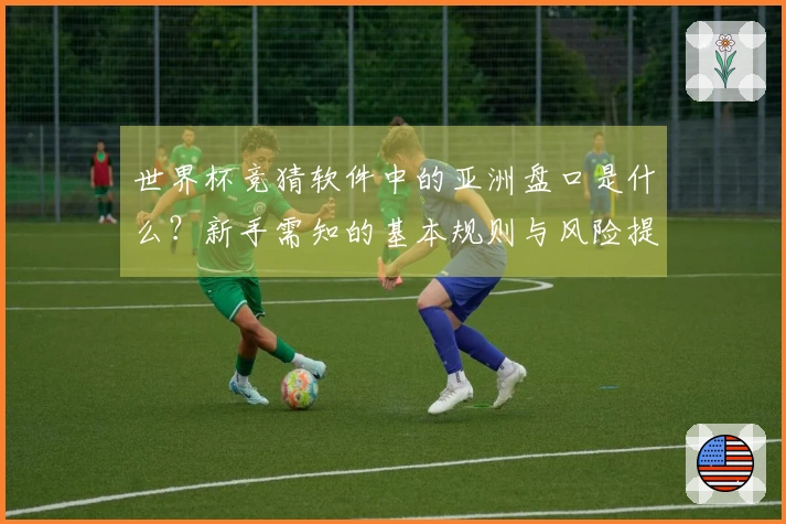 世界杯竞猜软件中的亚洲盘口是什么？新手需知的基本规则与风险提示