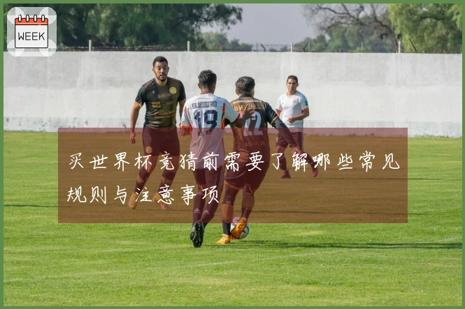买世界杯竞猜前需要了解哪些常见规则与注意事项