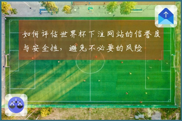 如何评估世界杯下注网站的信誉度与安全性，避免不必要的风险