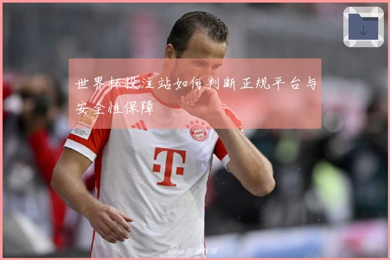 世界杯投注站如何判断正规平台与安全性保障