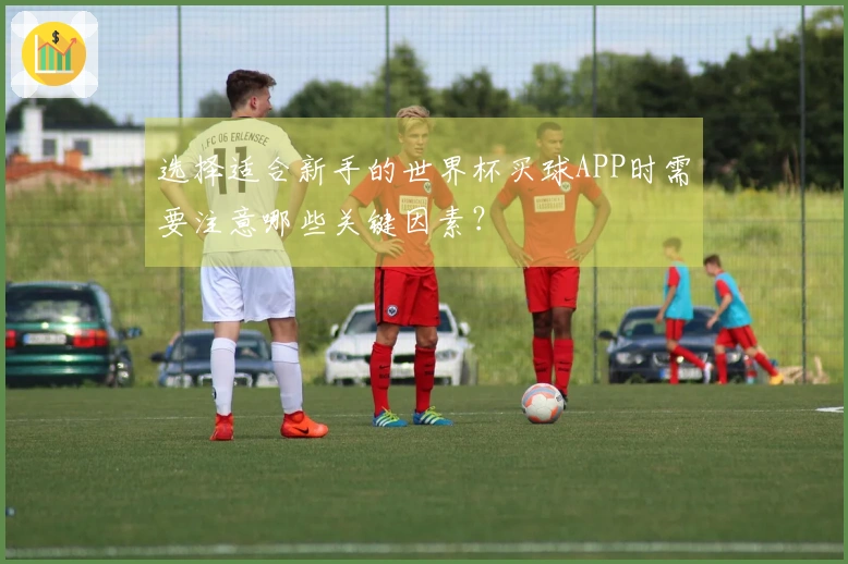 选择适合新手的世界杯买球APP时需要注意哪些关键因素？
