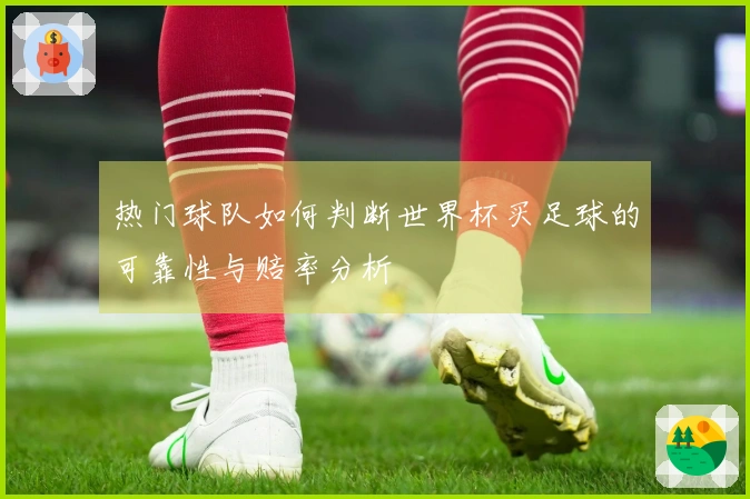 热门球队如何判断世界杯买足球的可靠性与赔率分析