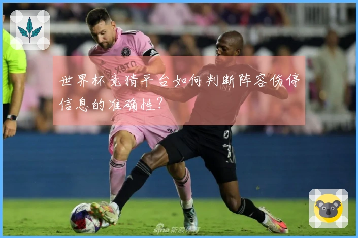 世界杯竞猜平台如何判断阵容伤停信息的准确性？