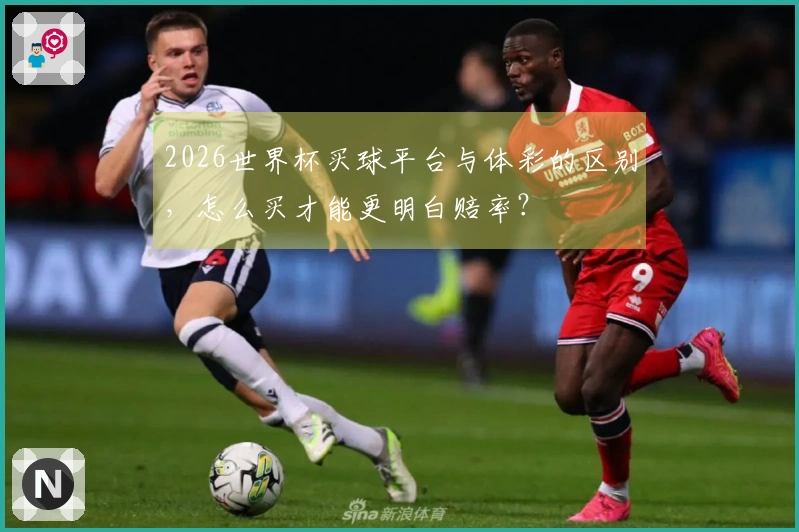2026世界杯买球平台与体彩的区别，怎么买才能更明白赔率？