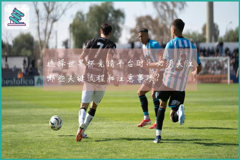 选择世界杯竞猜平台时，必须关注哪些关键流程和注意事项？