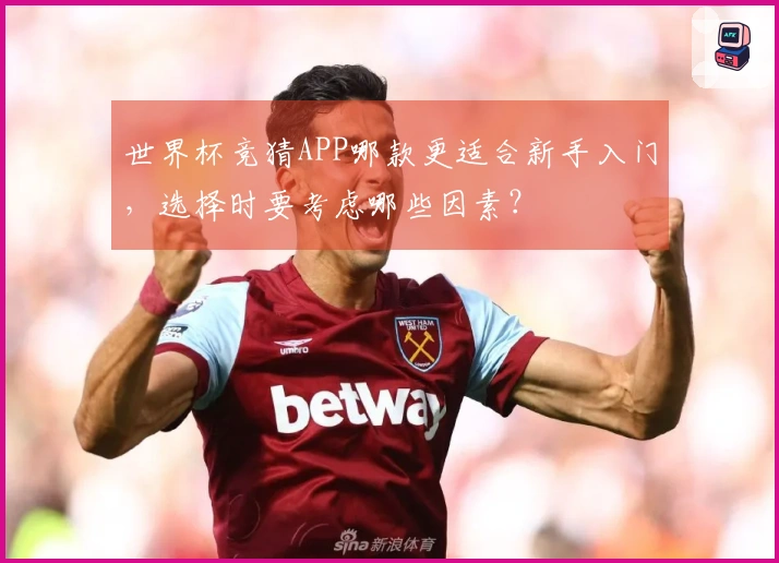 世界杯竞猜APP哪款更适合新手入门，选择时要考虑哪些因素？