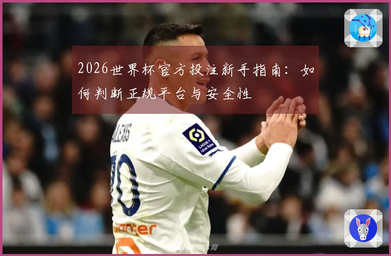 2026世界杯官方投注新手指南：如何判断正规平台与安全性