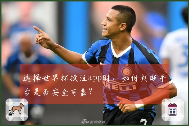 选择世界杯投注app时，如何判断平台是否安全可靠？